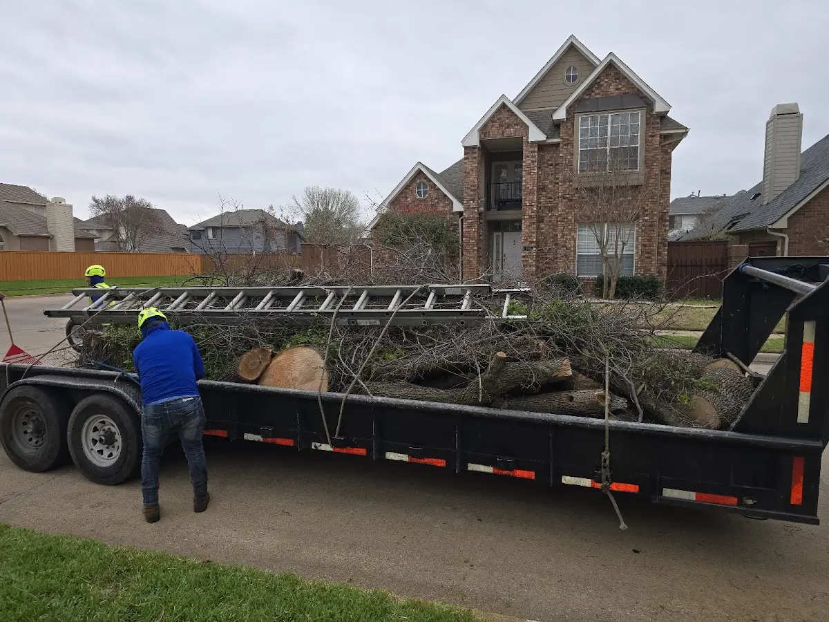 Expert Tree Removal with proper safety equipment in Winnsboro
